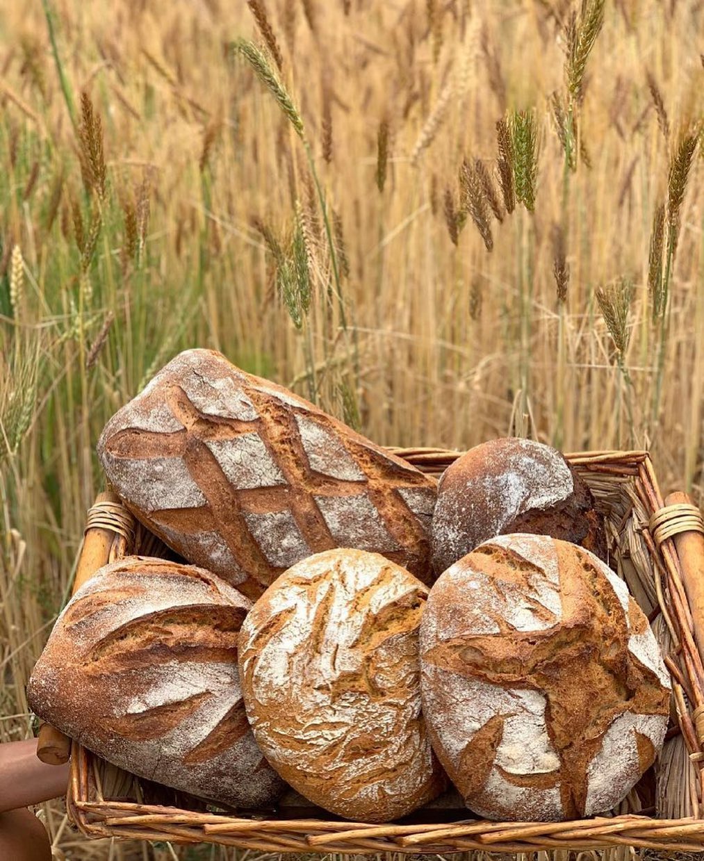 [Podcast] Où est le beau ?  #142 – Épisode Où est le bon ? avec Roland Feuillas, le retour du bon pain 100% vivant