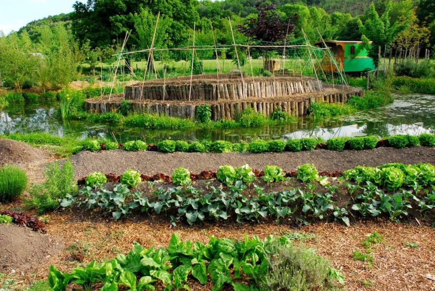 [Podcast] Où est le beau ? #138 – Episode Où est le bon ? – Rencontre Perrine Herve-Gruyer maraichère bio en permaculture à la ferme du Bec Hellouin