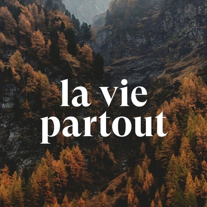 Où est le beau ? #183 – Quentin Travaillé, créateur du compte Instagram @laviepartout