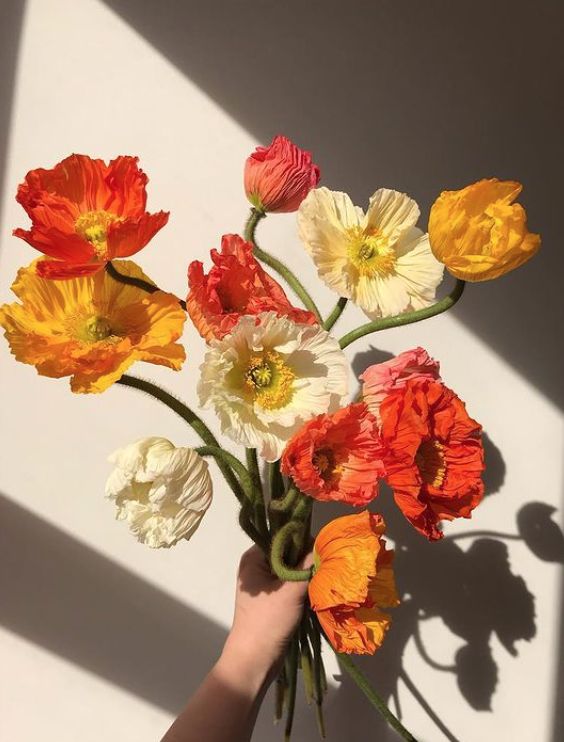 Notre Farandole d&rsquo;idée pour la Saint Valentin