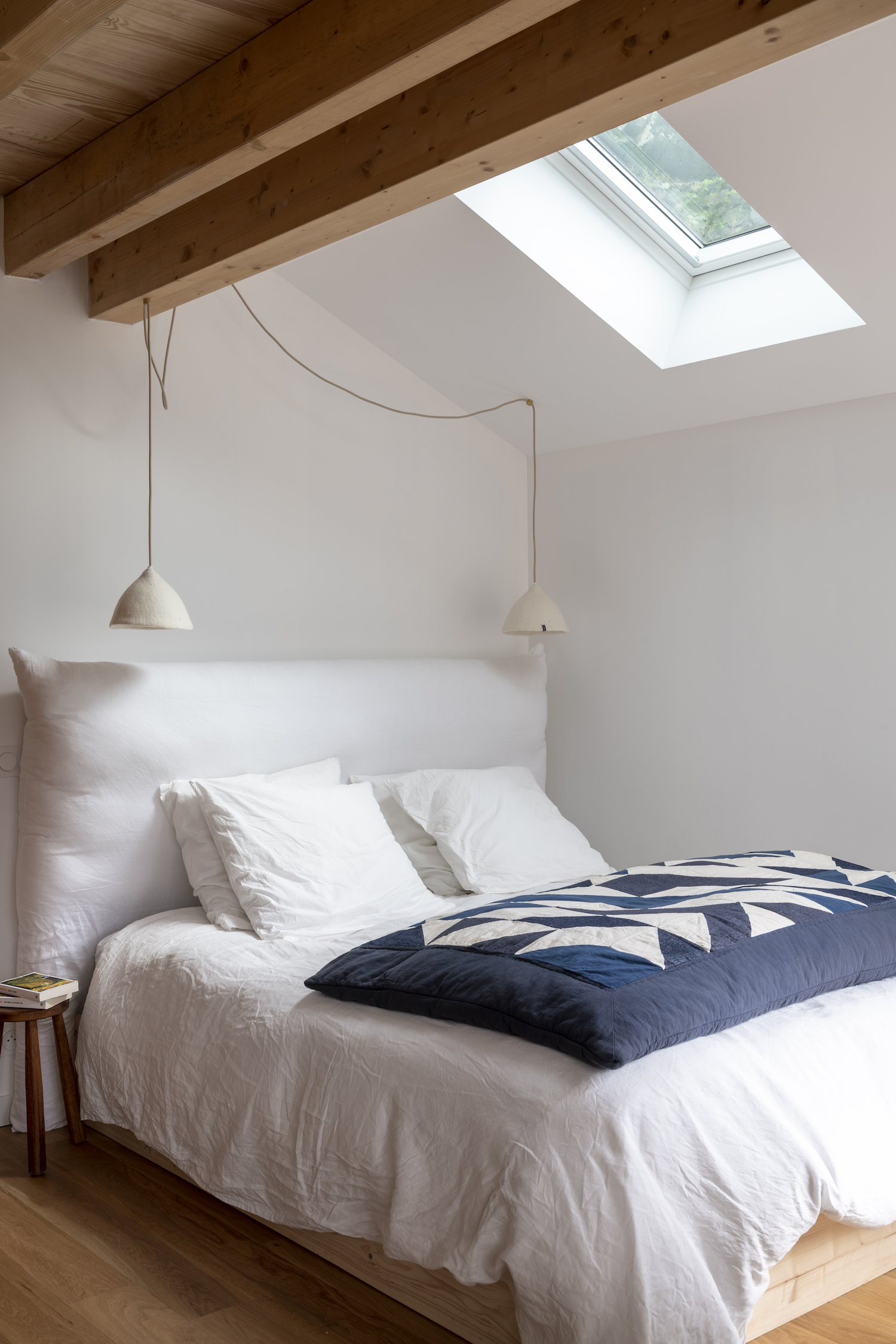 Comment se débarrasser des punaises de lit naturellement ?