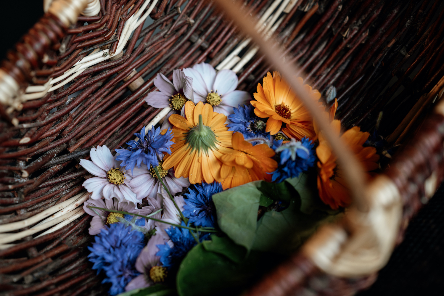 Coup de cœur Insta : Laurianne Rieffel-Kast