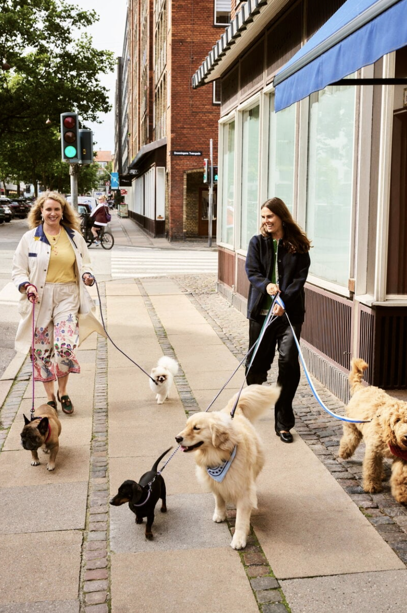 Shopping : déco et accessoires pour chiens