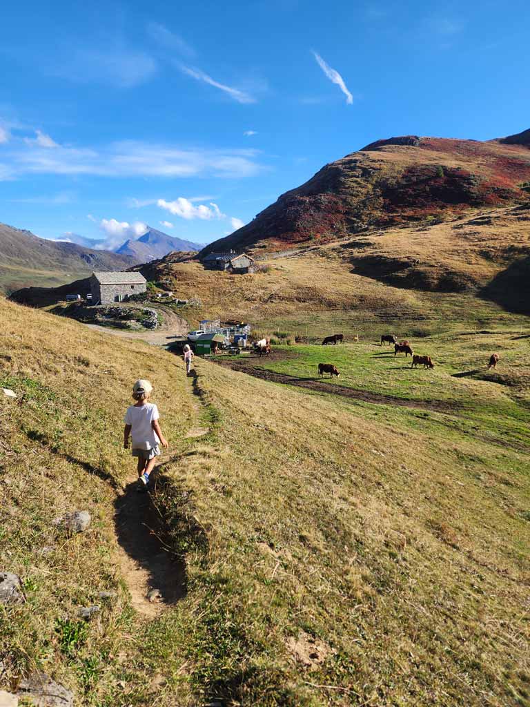 10 indispensables pour du bivouac en famille selon @lespetitsbaroudeurs