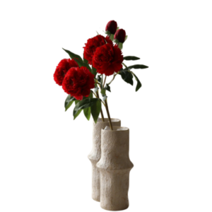 Pivoine éternelle, Botané Studio
