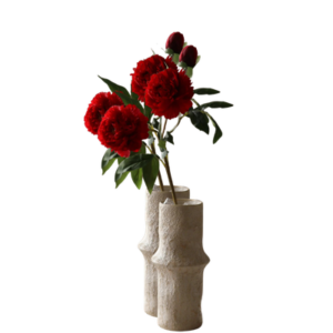 Pivoine éternelle, Botané Studio